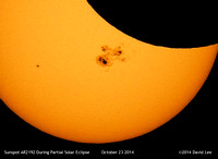 Sunspot AR2192 During the Partial Solar Eclipse