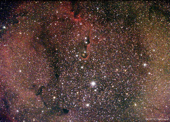 IC1396 and VdB142