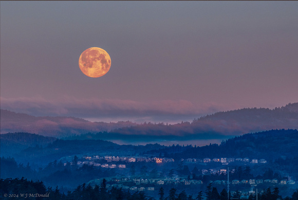 Full moon setting over Victoria