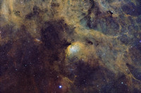 SH2-101 Star Cloud or Tulip Nebula in SHO