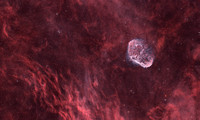 Crescent Nebula (NGC6888, Cygnus) in SHO