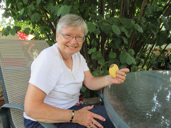 Lauri Roche enjoying an eclipse cookie made by Diane