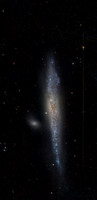 The Whale Galaxy - NGC4631
