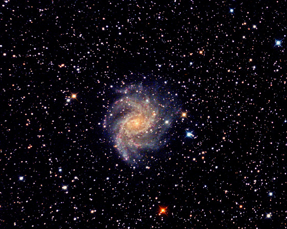 The Fireworks Galaxy, NGC 6946