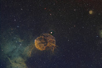 IC443 Jellyfish Nebula in SHO