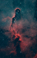 The Elephant's Trunk Nebula in IC 1396