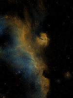 Seagull nebula (IC2177)