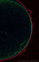 Solar prominences in Ha