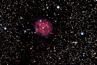 Cocoon Nebula, IC5146