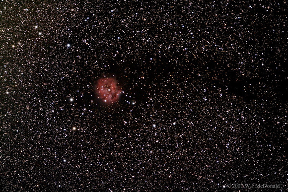 IC5146, the Cocoon Nebula