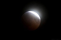 The Moon - a total lunar eclipse - total phase
