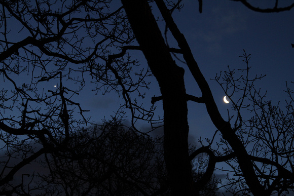Moon-Venus conjuction in the morning southern sky