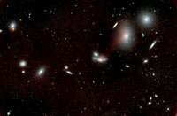 The Hunt for Ha in Markarian's Chain
