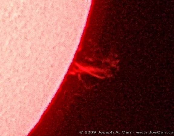 The Sun in Ha & a solar prominence