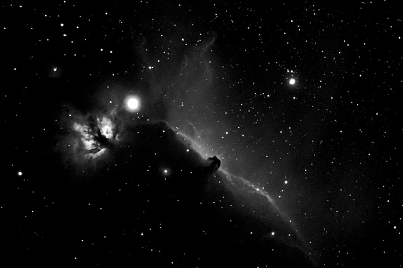 Horsehead Nebula, B33 in Hydrogen Alpha
