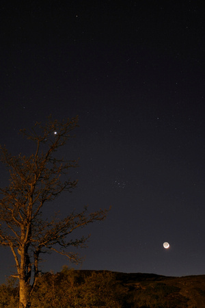 Venus, the Seven Sisters, and the Moon