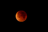 Lunar Eclipse - Totality